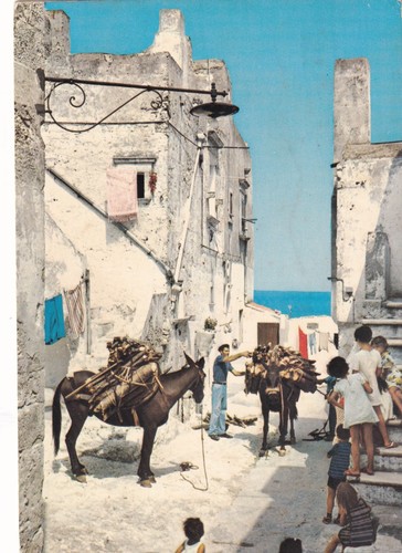Cartolina foggia vieste - di,