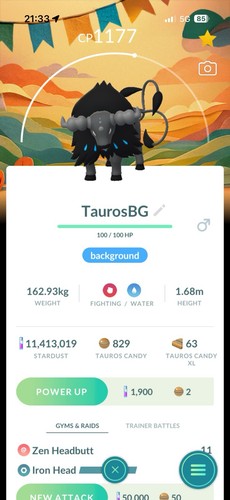 Paldean tauros aqua brasile - tauros,
