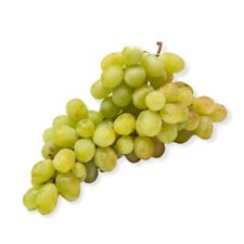 Pianta di UVA VITE innestata DA TAVOLA ZIBIBBO VINO in vaso 16 cm FOTO REALE