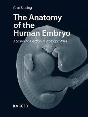 The anatomy human - the,