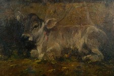Dipinto ad olio su tela Giulio da Vicchio "Vitellino nella stalla - studio"