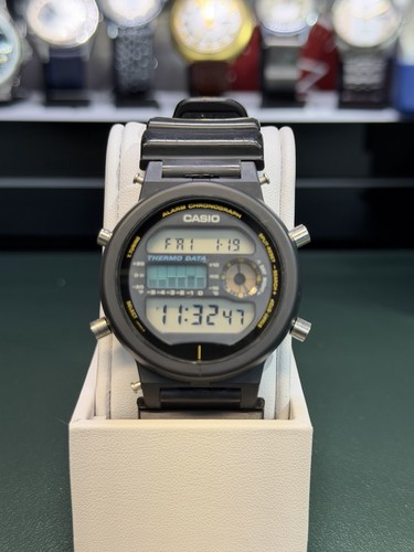 Casio thermo data - data, termometro