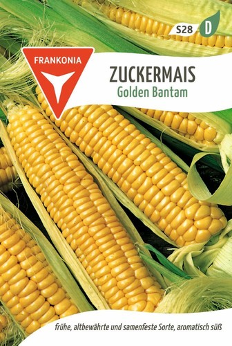 Mais zucchero golden - mais, da