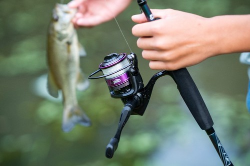Mulinello pesca abu garcia - pesca,