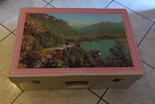 Vecchia valigia di cartone