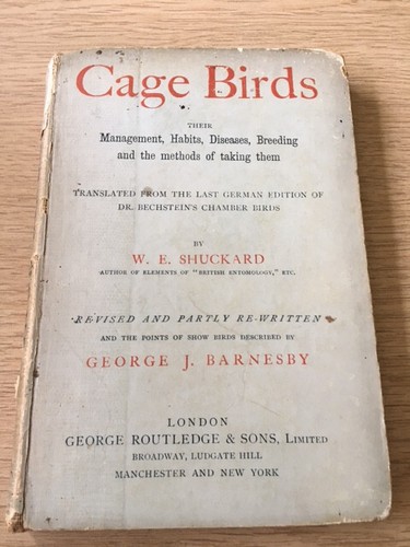 Cage birds management habits - birds;,