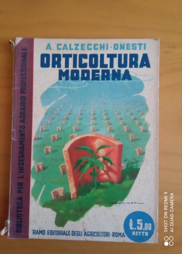 Calzecchi onesti - a.,