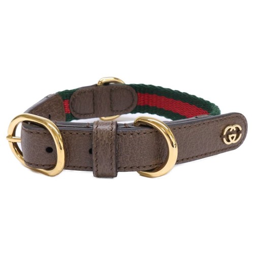 Collare cane gucci - collare, linea
