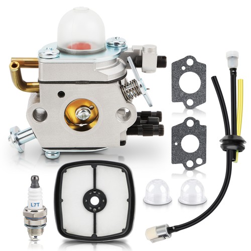 Carburatore per soffiatore