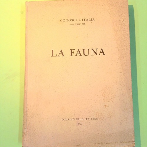 Fauna conosci italia - fauna,