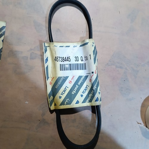 Cinghia servizi fiat - cinghia,
