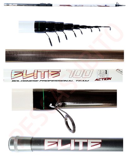 Canna bolognese elite - bolognese, 6