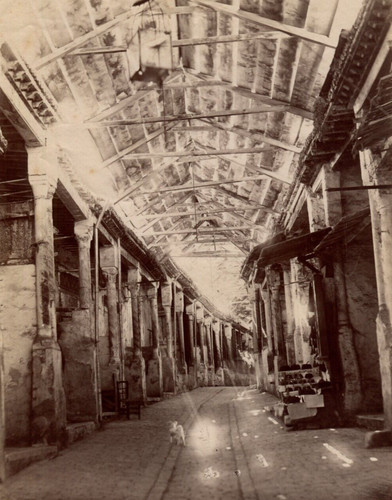 Fotografie epoca africa - fotografie, d'epoca