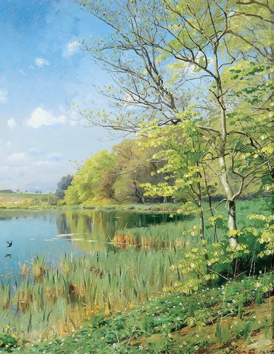 Giclée scrofa scenario - , in