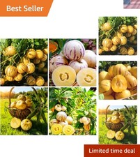 Organic pepino melon seeds - pepino,