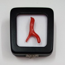 Ramo di corallo marino