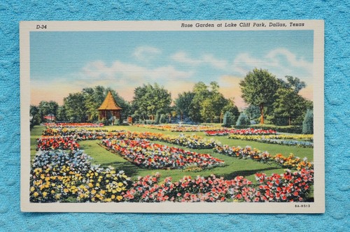 Rose garden lake cliff - rose, park