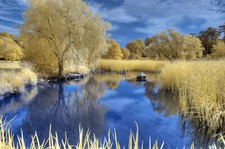 Nikon D90 fotocamera