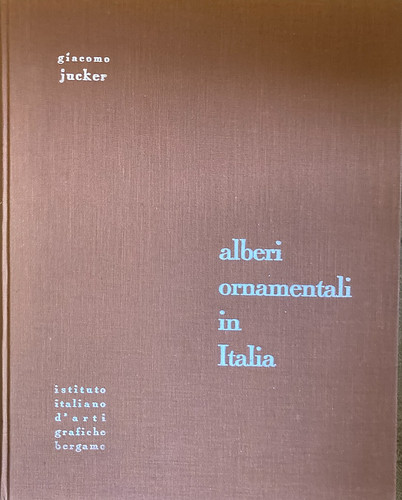 Alberi ornamentali in - alberi,