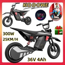 Bici da cross per bambini 300W