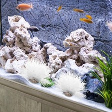  Piante Per Acquario Finte