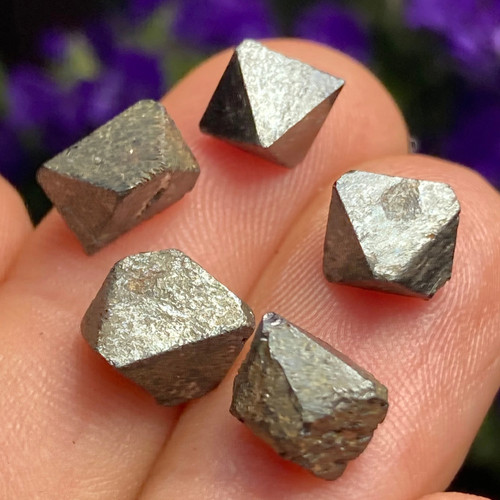 Esemplari magnetite set - esemplari,