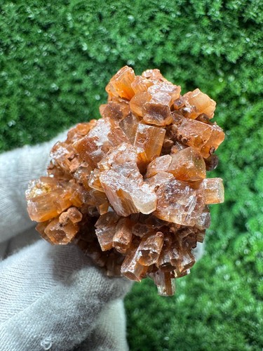 Prezioso fiore aragonite - di,