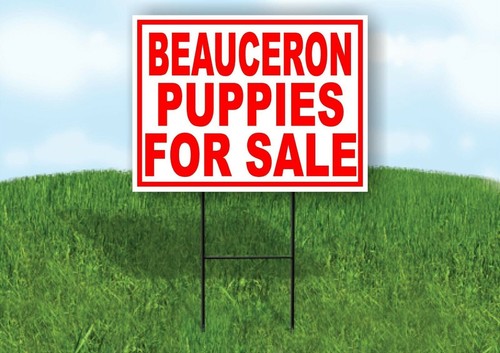 Beauceron cuccioli vendita - beauceron,