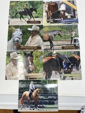 Lot Of 7 Parelli Savvy Club