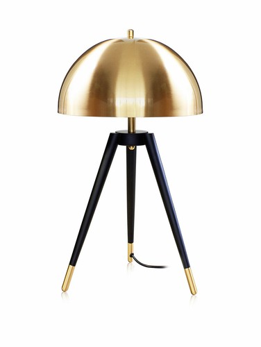 Funghi lampada luce tavolo - funghi,