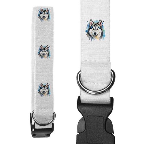 Collari per cani colorati - cani, 'colorati