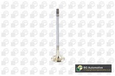 Exhaust Valve for 2.0L Petrol