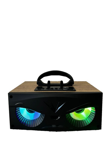 Portable radio digital speaker - portable,