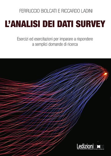 Analisi dei dati survey - l'analisi,