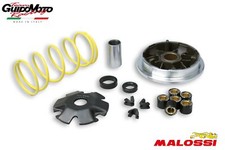 VARIATORE MALOSSI APRILIA HABANA MOJITO SUZUKI KATANA ZILLION 50 CC. 5111298 
