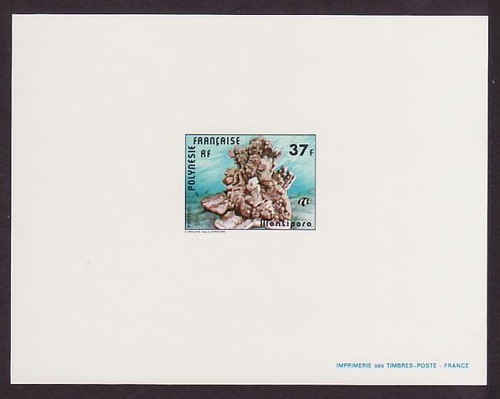 Polinesia sc312 montipora - polinesia,