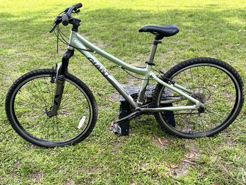 Giant mountain bike - 26", wheels