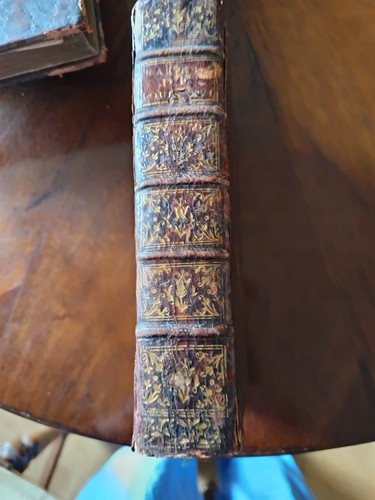 Libro feste incoronazione - libro, di