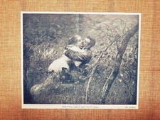 Primavera Quadro di Angelo