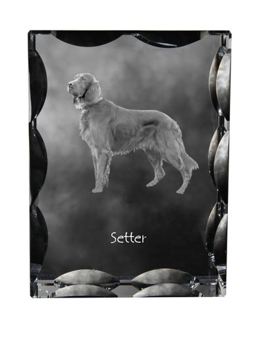 English setter inglese - setter,,