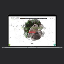 WordPress sito web negozio