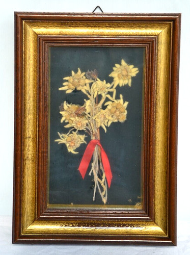 Bellissimo vecchio quadro - bellissimo,
