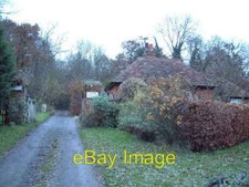 Photo 6x4 Redwell Wood South