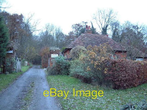 Photo 6x4 redwell wood - photo,