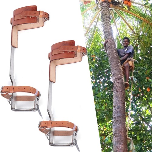 Set coppia cinghie - , di