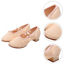  1 paio di scarpe da ballo con