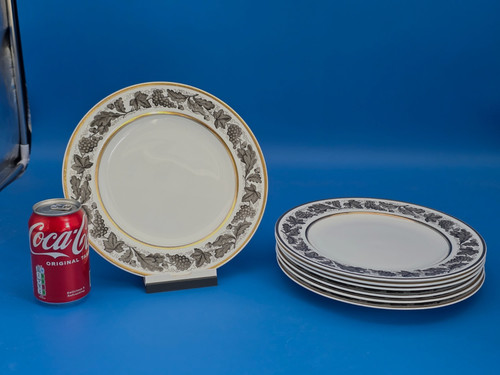 Piatti spode bone china - piatti,