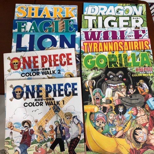 One piece color - piece, walk
