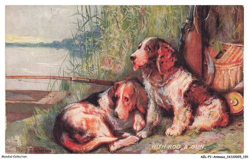 Azlp1 0098 animaux - azlp1-0098-animaux,