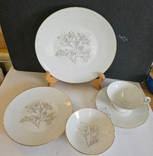 Vintage rosenthal continental - rosenthal,